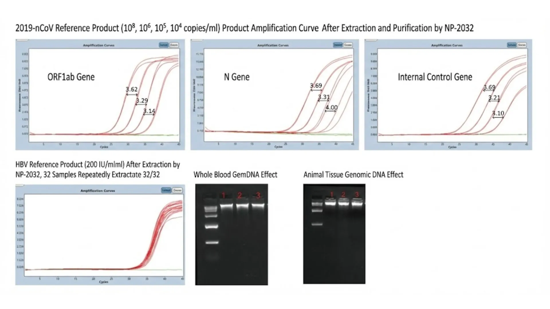 Nucleic Acid Purification