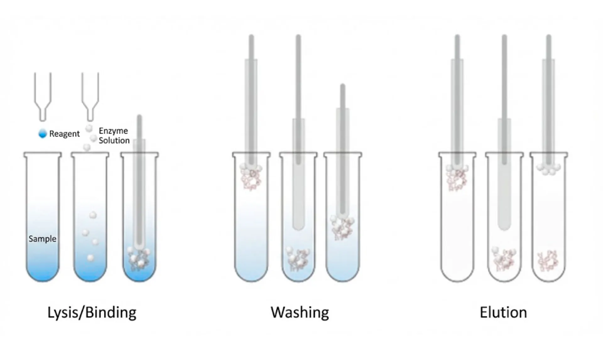 Nucleic Acid Purification – QualiNAP™ 96
