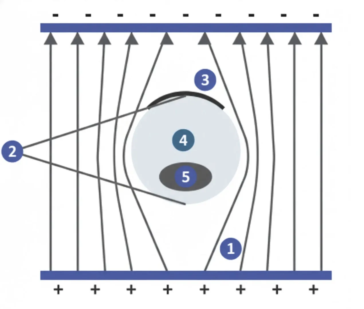 Advanced Electroporator
