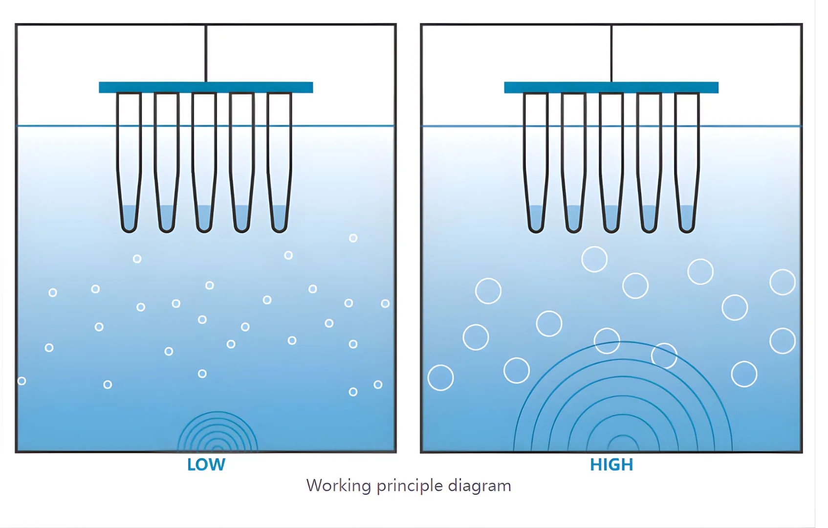 Ultrasonic DNA Disruptor