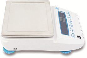 Electronic Balance