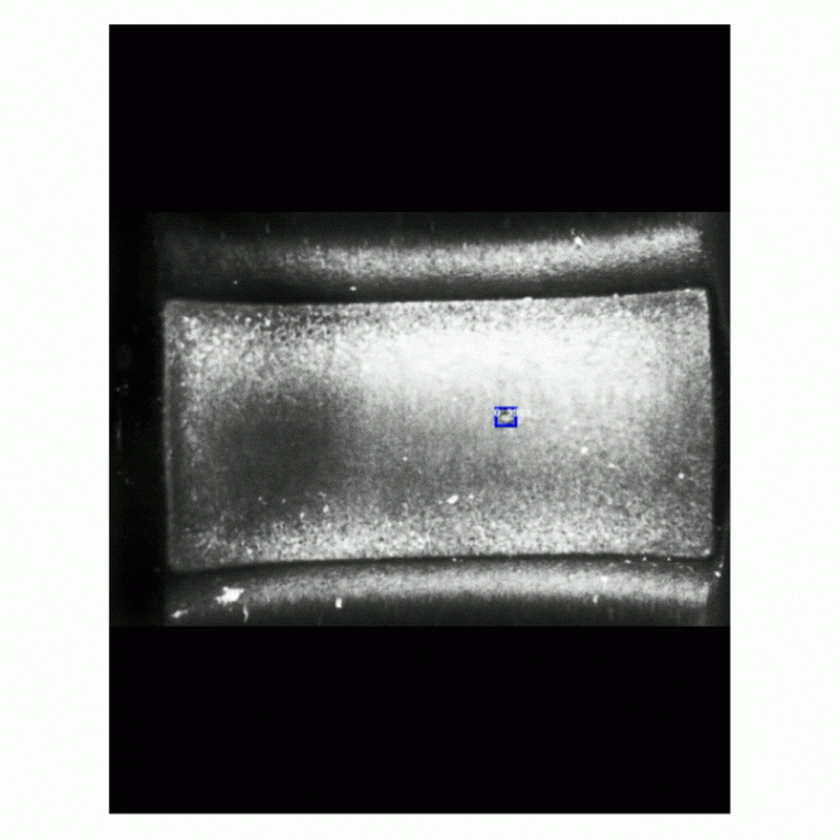 Demattia Fatigue Tester- AI Camera Algorithm